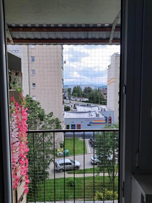 Apartament Na 4 Pietrze Nowy Targ Dış mekan fotoğraf