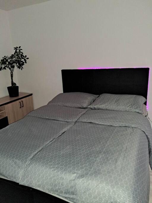 Apartament Na 4 Pietrze Nowy Targ Dış mekan fotoğraf
